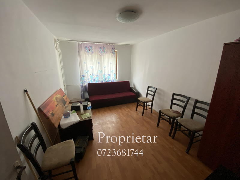 Nicolae Grigorescu, proprietar