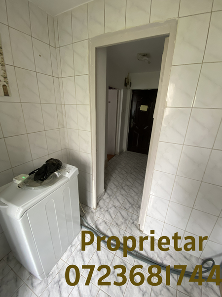 Nicolae Grigorescu, proprietar