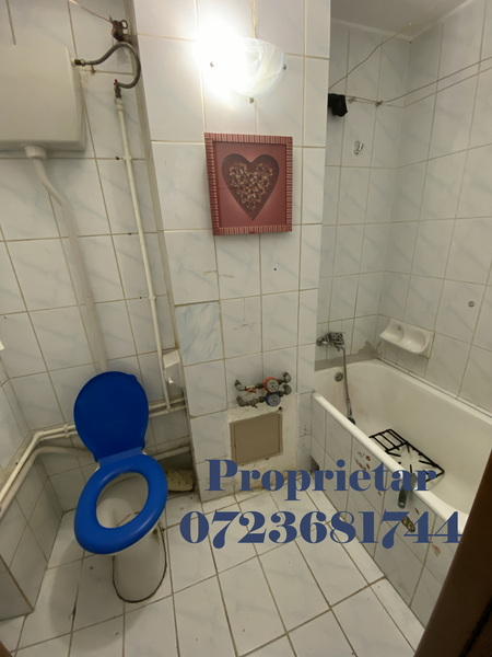 Nicolae Grigorescu, proprietar